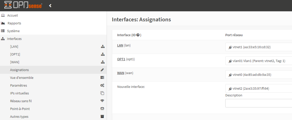 Interface assignation in OPNsense