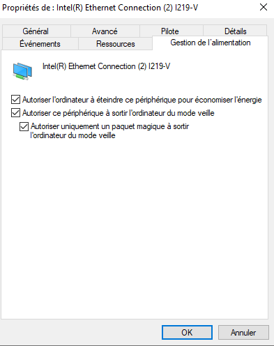 Properties of a network card under Windows